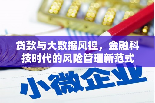 崁顶贷款与大数据风控，金融科技时代的风险管理新范式