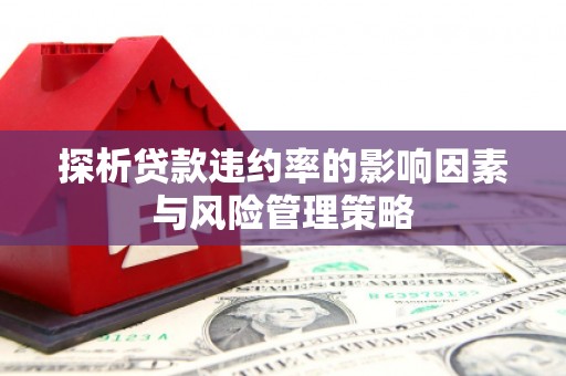 崁顶探析贷款违约率的影响因素与风险管理策略