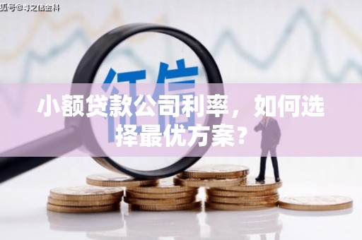 崁顶小额贷款公司利率，如何选择最优方案？
