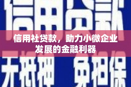 崁顶信用社贷款，助力小微企业发展的金融利器