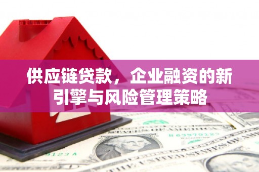 崁顶供应链贷款，企业融资的新引擎与风险管理策略