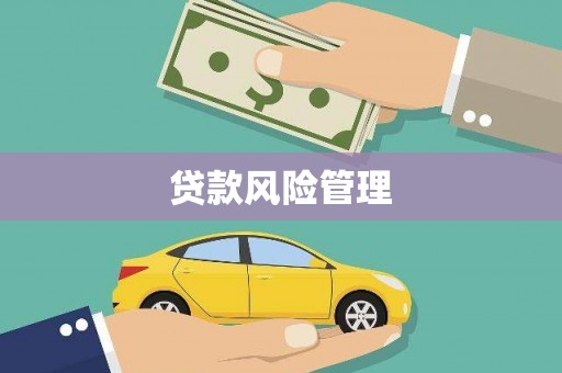 崁顶贷款风险管理