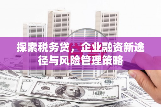 崁顶探索税务贷，企业融资新途径与风险管理策略