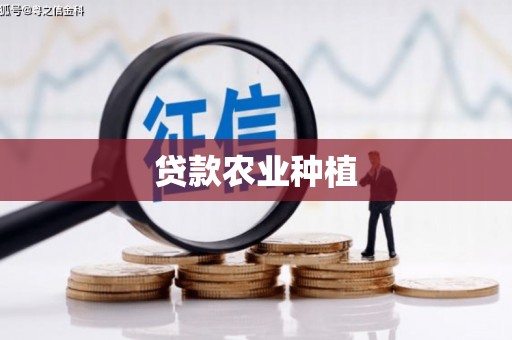 崁顶贷款农业种植