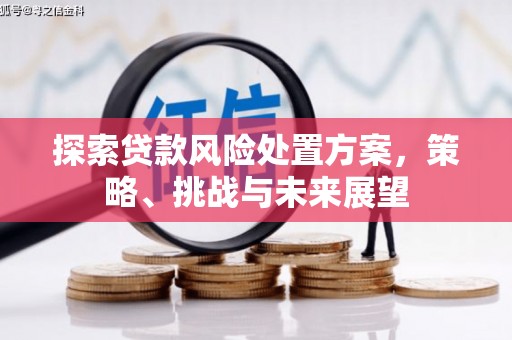 崁顶探索贷款风险处置方案，策略、挑战与未来展望