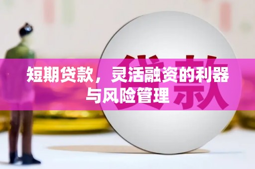 崁顶短期贷款，灵活融资的利器与风险管理