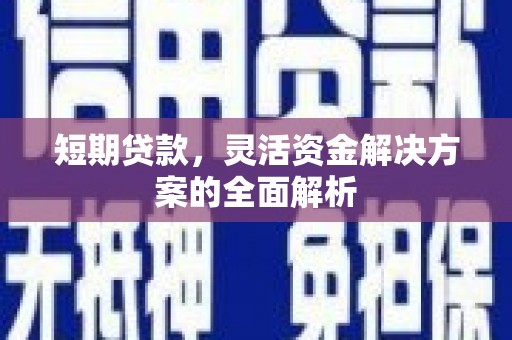 崁顶短期贷款，灵活资金解决方案的全面解析