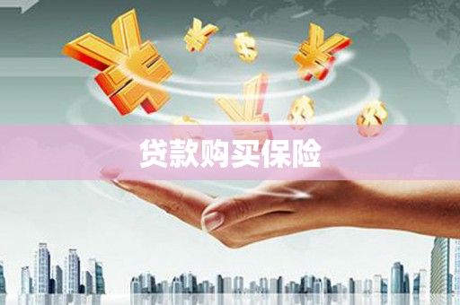 崁顶贷款购买保险