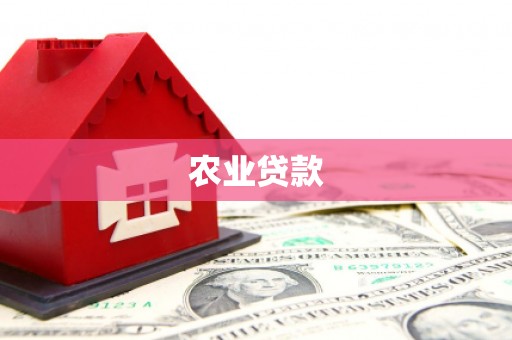 崁顶农业贷款