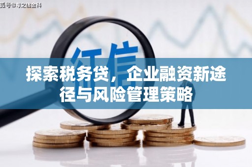 崁顶探索税务贷，企业融资新途径与风险管理策略