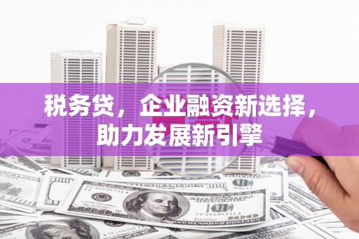崁顶税务贷，企业融资新选择，助力发展新引擎