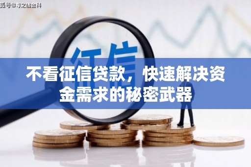 崁顶不看征信贷款，快速解决资金需求的秘密武器