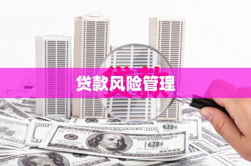 崁顶贷款风险管理