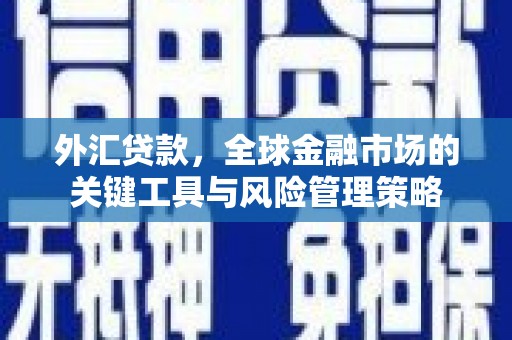崁顶外汇贷款，全球金融市场的关键工具与风险管理策略