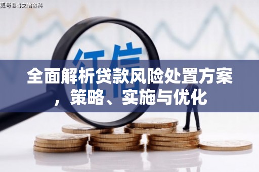 崁顶全面解析贷款风险处置方案，策略、实施与优化