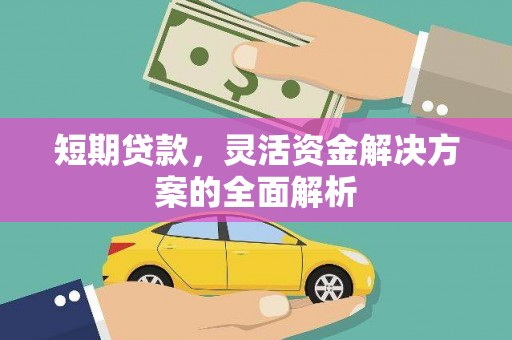 崁顶短期贷款，灵活资金解决方案的全面解析
