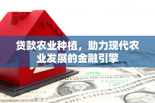 崁顶贷款农业种植，助力现代农业发展的金融引擎