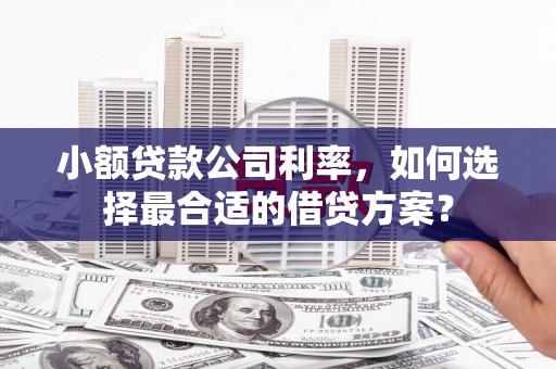 崁顶小额贷款公司利率，如何选择最合适的借贷方案？