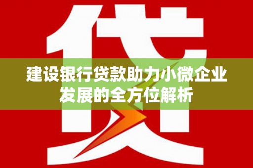 崁顶建设银行贷款助力小微企业发展的全方位解析