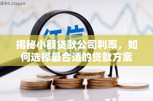 崁顶揭秘小额贷款公司利率，如何选择最合适的贷款方案
