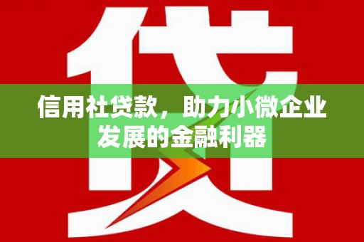 崁顶信用社贷款，助力小微企业发展的金融利器