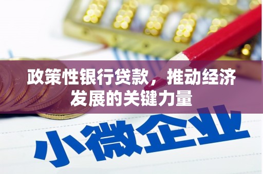 崁顶政策性银行贷款，推动经济发展的关键力量
