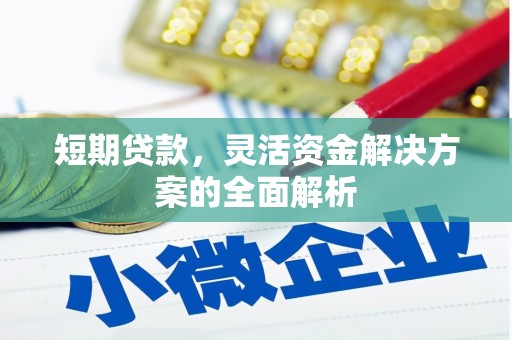 崁顶短期贷款，灵活资金解决方案的全面解析