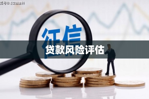 崁顶贷款风险评估