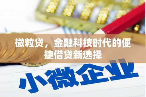 崁顶微粒贷，金融科技时代的便捷借贷新选择