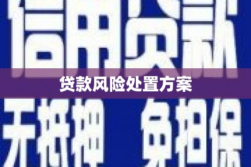 崁顶贷款风险处置方案
