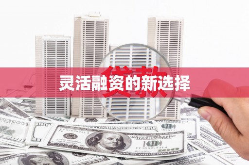 崁顶灵活融资的新选择
