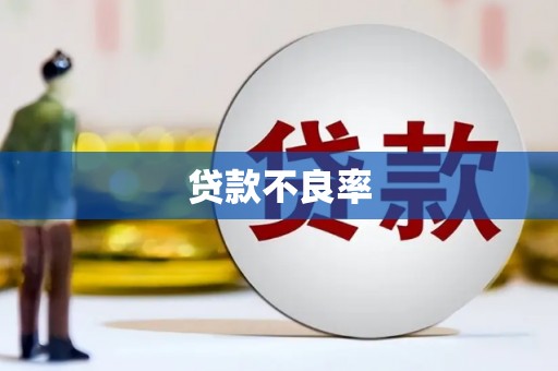 崁顶贷款不良率