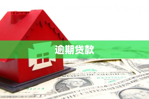 崁顶逾期贷款
