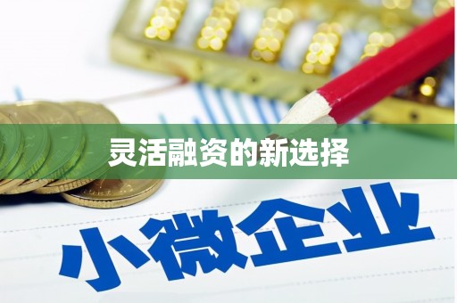 崁顶灵活融资的新选择