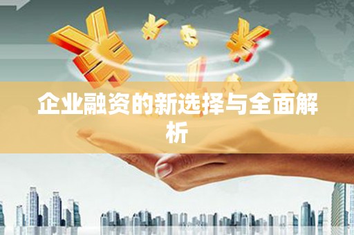 崁顶企业融资的新选择与全面解析