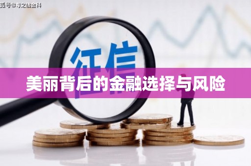 崁顶美丽背后的金融选择与风险