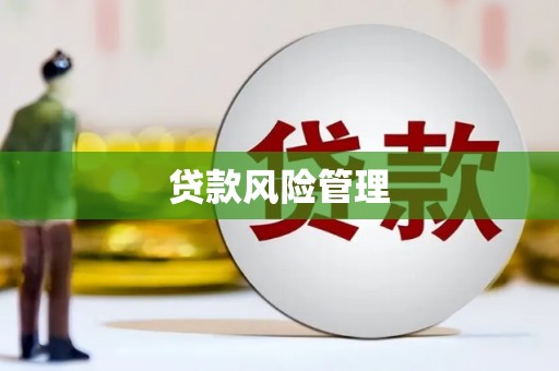 崁顶贷款风险管理